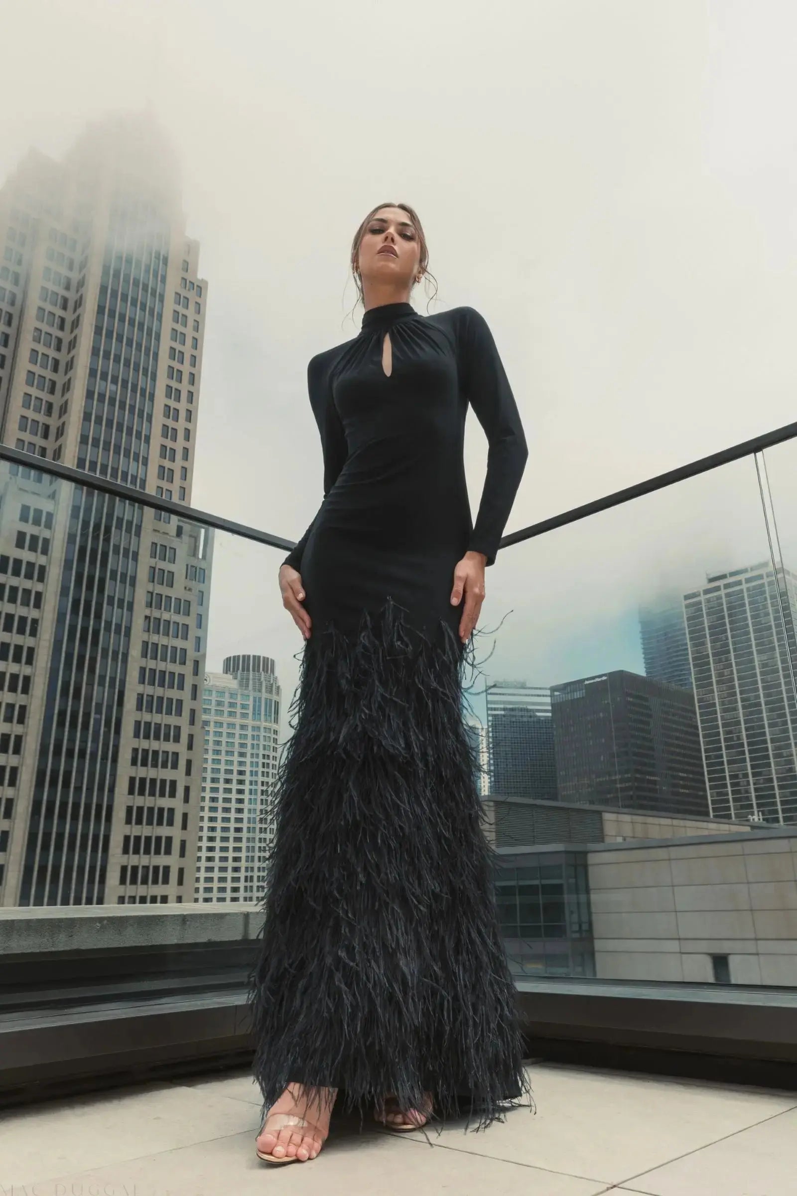 Black Long Sleeve High Neck Feather Trim Gown - Image 7