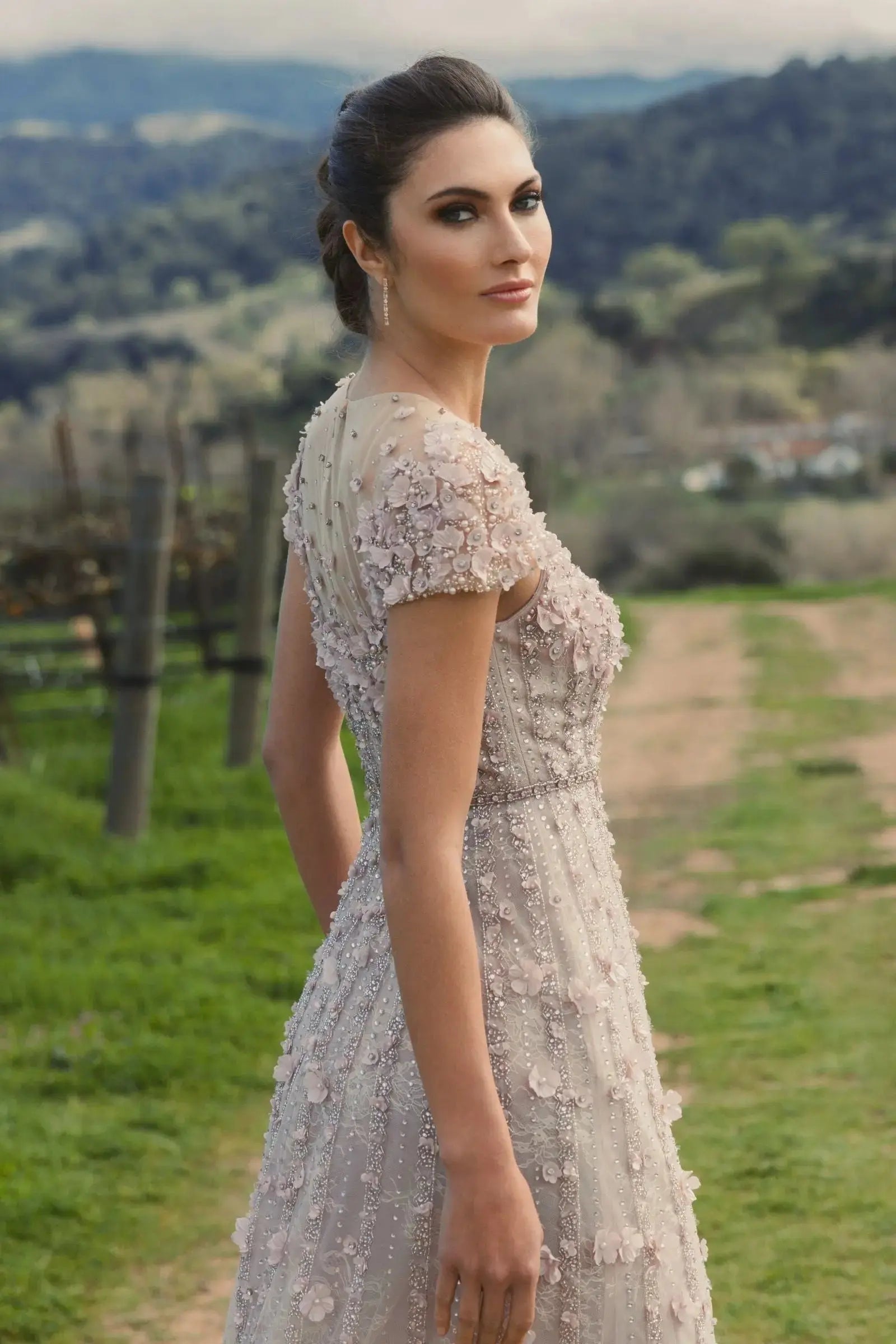 Pink Embellished Lace Illusion Neck A-Line Gown - Image 9