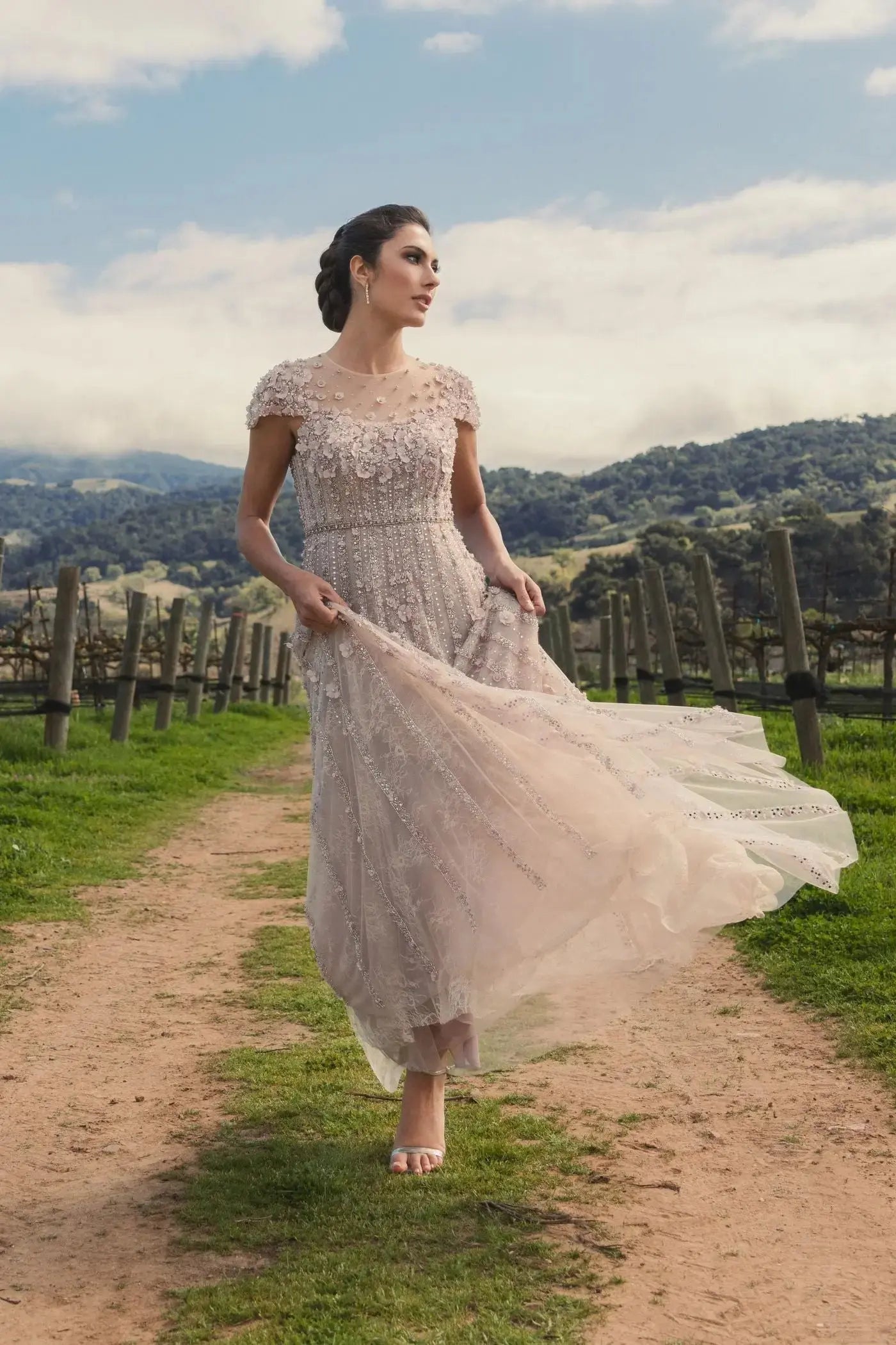 Pink Embellished Lace Illusion Neck A-Line Gown - Image 8