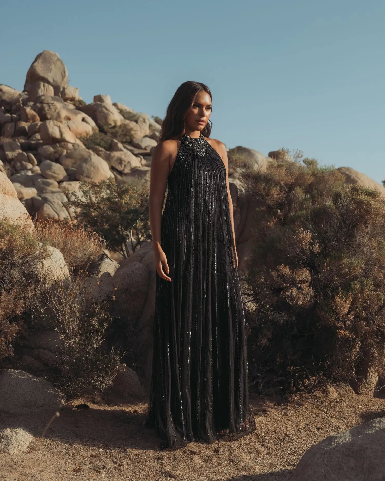 Black Sleeveless Halter Neck Embellished Trapeze Gown - Image 4
