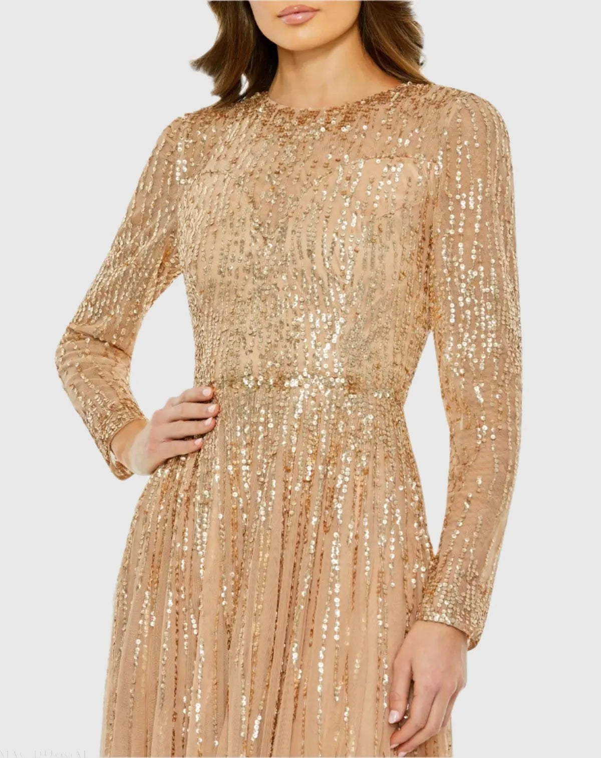 Beige Illusion High Neck Long Sleeve Embellished Gown - Image 2