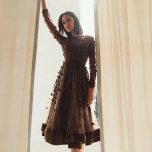 Brown Velvet Embellished Illusion Long Sleeve A-Line Midi Dress