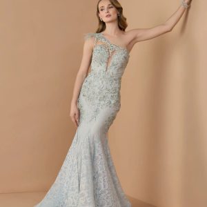 Blue Embellished Lace One Shoulder Gown With Feather Detail