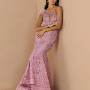Pink Embellished Lace One Shoulder Gown With Feather Detail