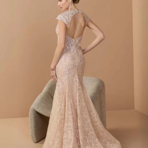 Pink Embroidered Lace Mermaid Gown With Cap Sleeves