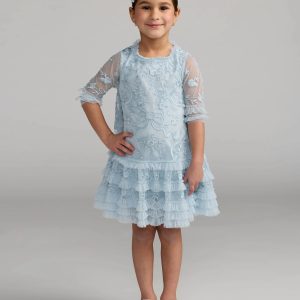 Girls Blue Micro Ruffle Embroidered Mini Dress